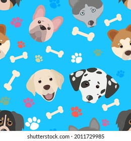 textura transparente de un perro sobre un fondo azul