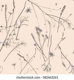 seamless texture with dry flowers herb drawing hands