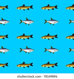 seamless texture with the fishes