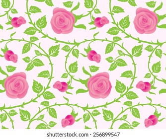 Seamless texture, flower of roses. Vector the background. 