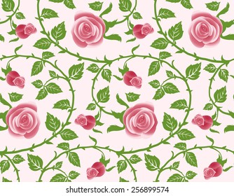 Seamless texture, flower of roses. Vector the background. 