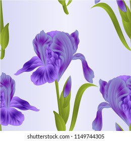 Seamless texture flower violet iris  with leaves  colored sketch isolated on a blue background vintage vector illustration editable hand drawn