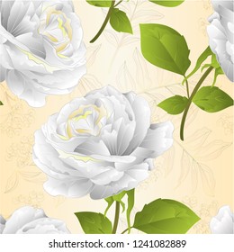 Seamless texture flower white rose on a white background twig with leaves  vintage vector illustration editable hand draw
