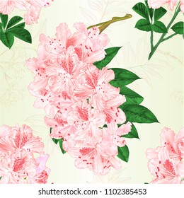 Seamless texture flowers Light pink rhododendrons twigs  shrub vintage vector illustration editable hand draw