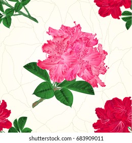 Seamless texture flowers pink and red rhododendrons twig vintage  vector illustration hand draw