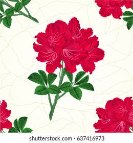 Seamless texture flowers red rhododendrons twig Mountain shrub cracks in the porcelain vintage hand draw vector illustration