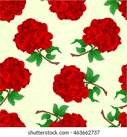 Seamless texture flowers red roses stem with leaves and blossoms vintage vector illustration