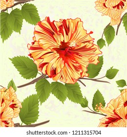 Seamless texture flowers tropical plants yellow hibiscus   natural background  vintage vector illustration editable hand draw