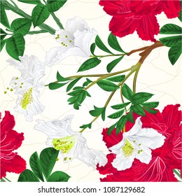 Seamless texture flowers white and red rhododendrons twig Mountain shrub cracks  vintage  vector botanical illustration editable hand draw
