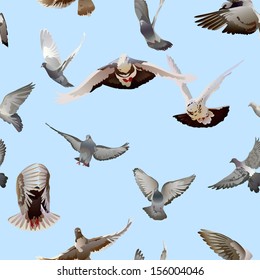 seamless texture with flying doves