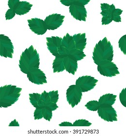 Seamless texture with fresh mint leaves on white background