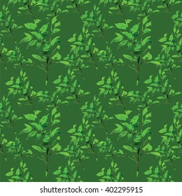 Seamless texture with green branches of ficus on dark green background