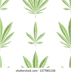 Seamless texture of green leaves of marijuana in row on white background. Vector herbs pattern for fabrics, wallpapers and your creativity.