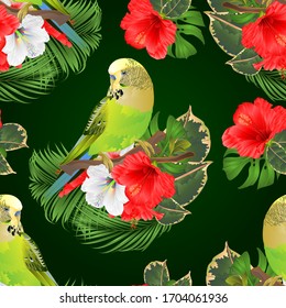 Seamless texture green parakeet Budgerigar, home pet , pet parakeet  or budgie or shell parakeet  with tropical flowers  floral arrangement with beautiful white and red hibiscus and  palm,philodendron
