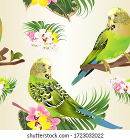Seamless texture green parakeets Budgerigars, home pet , pet parakeet  or budgie or shell parakeet with Orchid cymbidium pink white and yellow  palm ficus watercolor vintage vector illustration