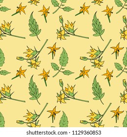 Seamless texture of green tomato leaves and flowers. Hand drawn illustration on yellow background