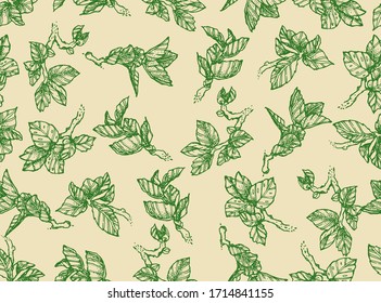 Seamless texture with hand drawn graphic leaves. Beautiful traditional inking. Ink drawing. Spring style repeated background.