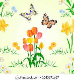 Seamless texture Happy Easter decoration  daffodil and tulips  on green grass and butterfly, pussy willov and bow. Seasonal Holidays in April. Spring  flowers set four vector illustration editable han