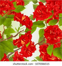 Seamless texture hibiscus red tropical flowers  nature background vintage  vector botanical illustration hand draw editable 