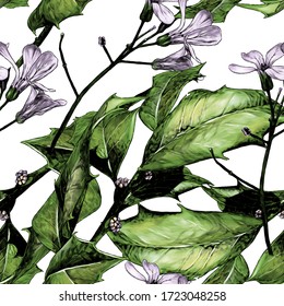 seamless texture with the image of a twig with prickly leaves and purple flowers, sketch vector graphics color illustration on a white background