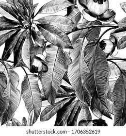 seamless texture with images of tropical plants and fruits Bush with large leaves branch, sketch vector graphics monochrome illustration on white background