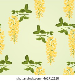 Seamless texture Laburnum branch decorative shrub nature background vector illustration