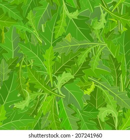 seamless texture of leaf arugula