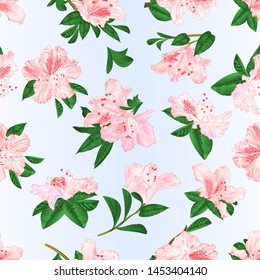 Seamless texture Light pink  flowers rhododendrons and leaves  mountain shrub on a blue background  vintage vector illustration editable hand draw