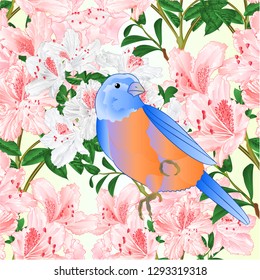 Seamless texture light pink rhododendron branch and Small songbirdon Bluebird  thrush vintage vector illustration editable hand draw