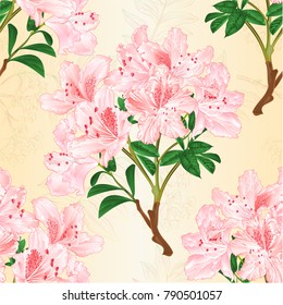 Seamless texture light pink rhododendron branch mountain shrub and rowanberry vintage vector illustration editable hand draw
