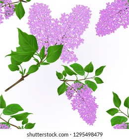 Seamless texture Lilac twigs with flowers and leaves vintage natural background vector botany illustration editable hand draw  