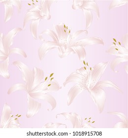 Seamless texture Lily white  Lilium candidum, a white flowers s vintage vector illustration editable Hand draw
