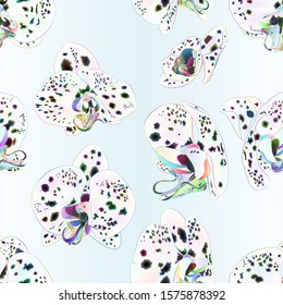 Seamless texture orchids Phalaenopsis with dots multi colored  closeup beautiful flower  festive  background vintage  vector illustration editable  hand draw