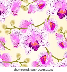 Seamless texture  orchids  purple and white  tropical plant  stem  vintage vector illustration hand draw