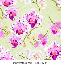 Seamless texture  Orchids purple and  white and white Phalaenopsis stems with flowers and  buds closeup  vintage  vector editable illustration hand draw