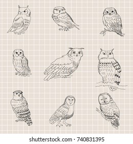 Seamless texture with a painted owls on a background of a sheet of paper