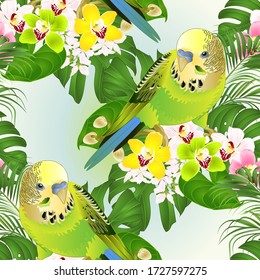 Nahtlose Textur Parakeet grüne Budgerigars und Orchids Cymbidiumvektor