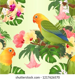 Seamless texture Parrots lovebird Agapornis tropical birds  standing on a branch and hibiscus and Brugmansia with yellow orchid vintage vector illustration editable hand draw