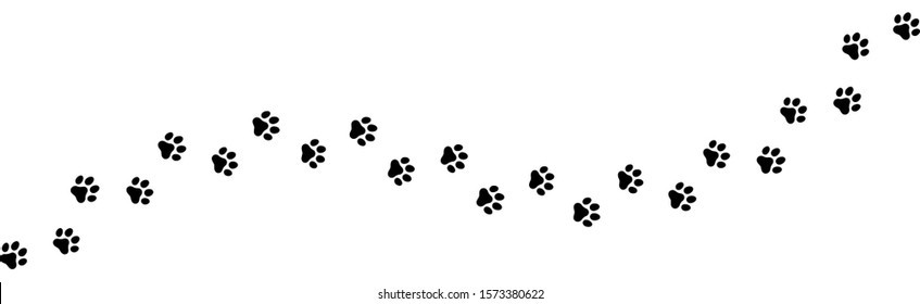 Seamless Texture of Paw vector foot trail print of cat. Paw dog, puppy, cat vector print, animal, isolated on white background