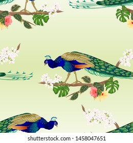 Seamless texture Peacock  tropical bird on branch with  ficus and hibiscus and philodendron watercolor vintage vector illustration editable hand drawn  
