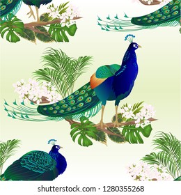Seamless texture Peacocks beauty exotic birds natural and tropical flowers watercolor vintage vector illustration editable hand drawn