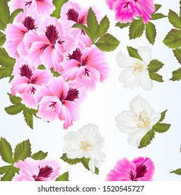 Seamless texture  Pelargonium Geranium summer pink flowers and leaves  and jasmine elements for design watercolor vintage vector illustration editable Hand draw