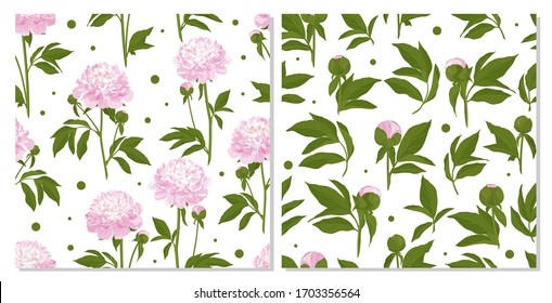 Seamless texture with peony. Flower for design - summer white peony. Hand drawn vector illustration.