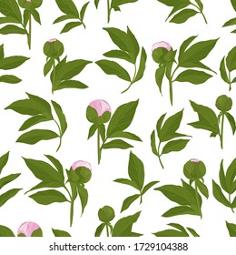 Seamless texture with peony. Flower for design - summer white peony. Hand drawn vector illustration.