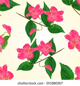 Seamless texture pink flower decorative shrub Weigela cracks vintage vector illustration