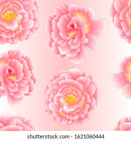 Seamless texture pink rose with orange center watercolor  on a white background vector illustration editable hand draw
