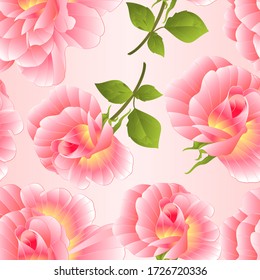 Sintomática textura rosa rosa rosa rosado con vector centro anaranjado