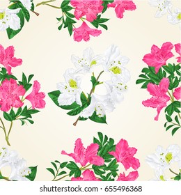 Seamless texture pink and white flowers rhododendron twig with leaves mountain shrub vintage vector illustration hand draw 
