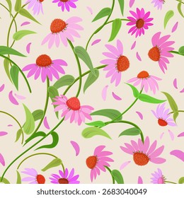 seamless texture of purple coneflowers plants. blooming echinacea purpurea flowers.