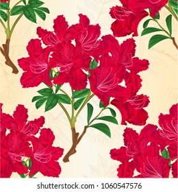 Seamless texture red  rhododendron branch mountain shrub vintage vector illustration editable hand draw